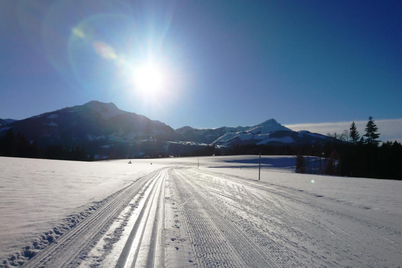 Ferienwohnung Saalbach Fieberbrunn Dış mekan fotoğraf