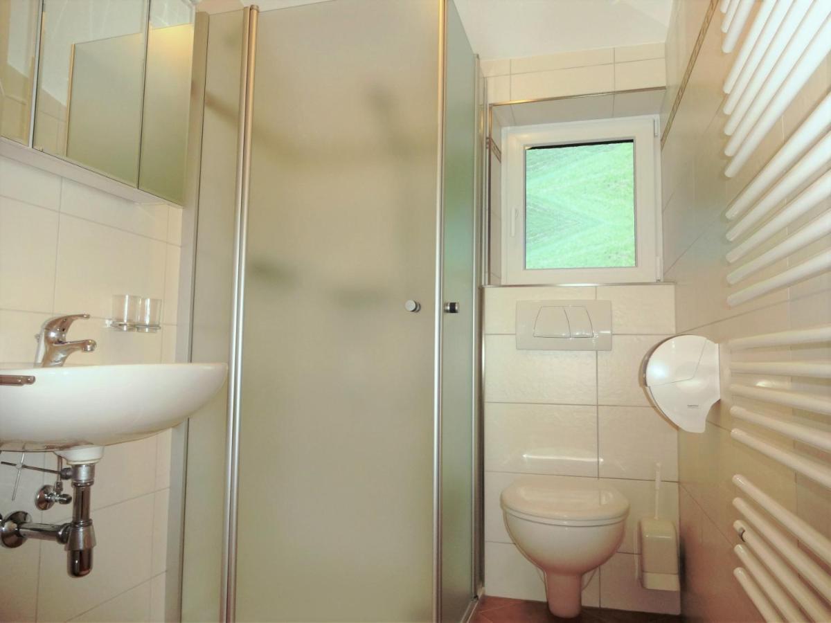 Ferienwohnung Saalbach Fieberbrunn Dış mekan fotoğraf